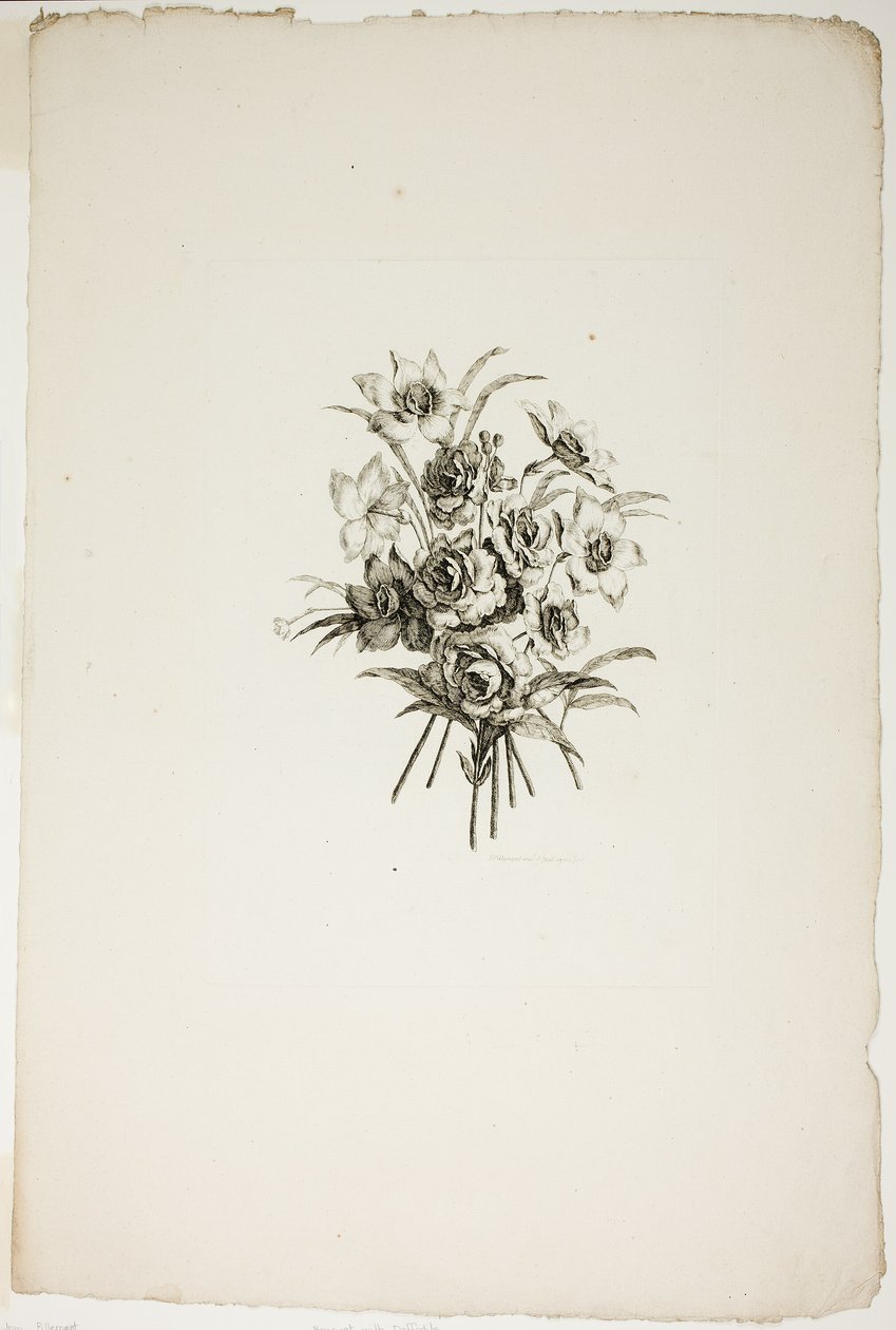 Csokor nárciszokkal, a Különféle virágcsokrok gyűjteményéből, Jean Pillement találta ki és rajzolta, és P. C. Canot gravírozta alkotó: Pierre Charles Canot