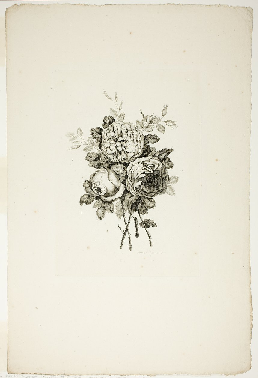 Csokor rózsákkal, a Különféle virágcsokrok gyűjteményéből, Jean Pillement találta ki és rajzolta, és P. C. Canot gravírozta alkotó: Pierre Charles Canot