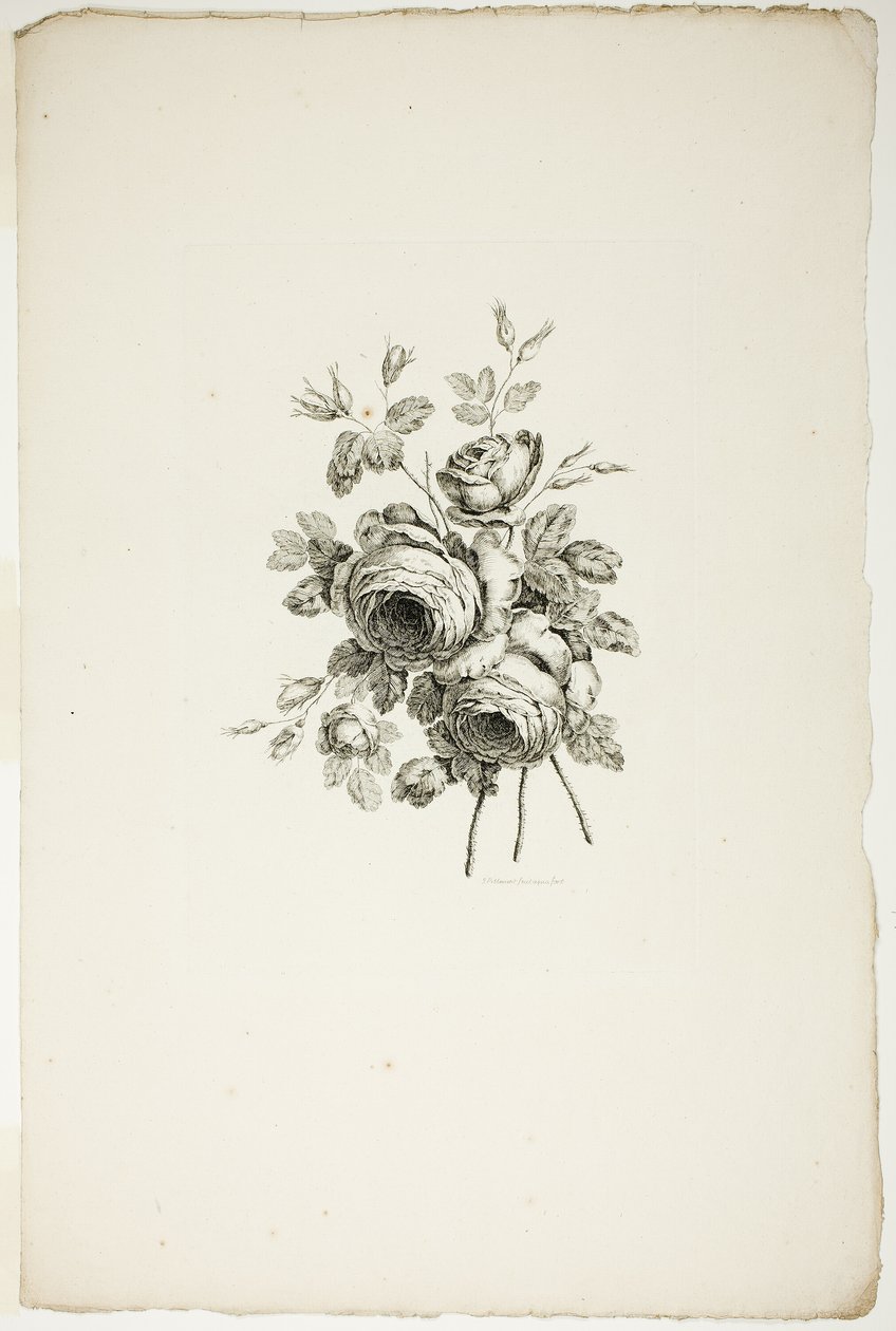 Csokor rózsákkal, a Különféle virágcsokrok gyűjteményéből, Jean Pillement találta ki és rajzolta, és P. C. Canot gravírozta alkotó: Pierre Charles Canot