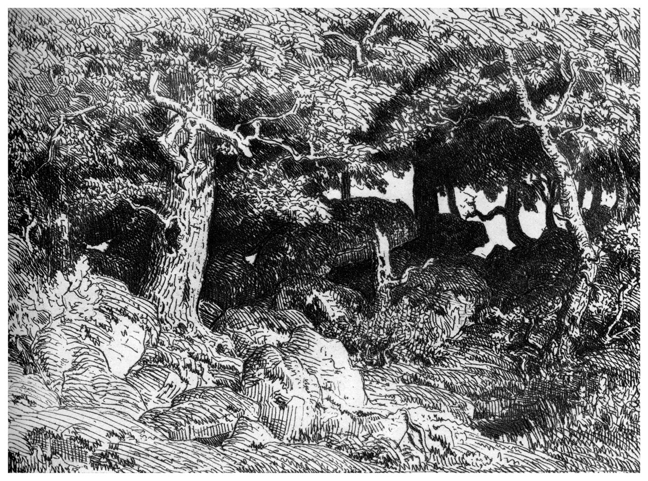 A Chenes de Roche, 1832-1860, 1924 alkotó: Pierre Etienne Theodore Rousseau