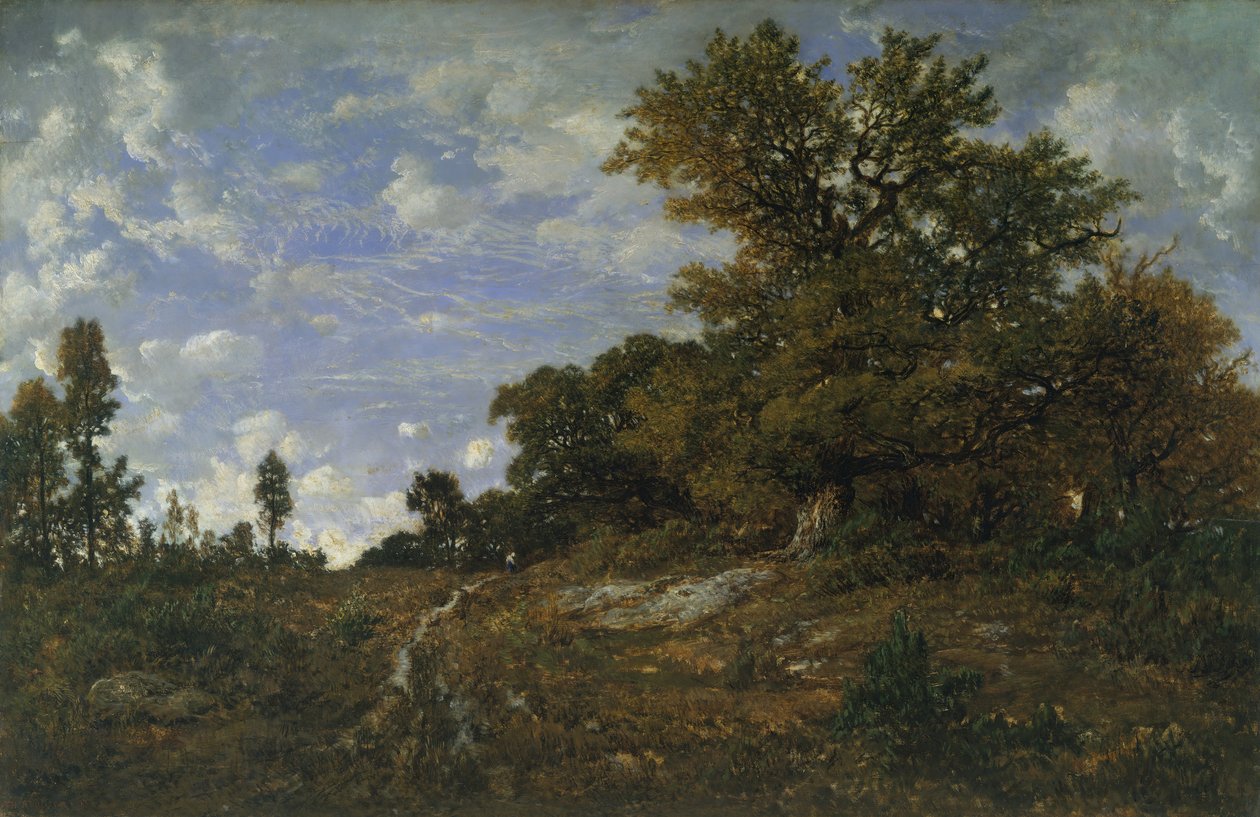 Az erdő széle Monts-Girard-ban, Fontainebleau-erdő, 1852-54. alkotó: Pierre Etienne Theodore Rousseau