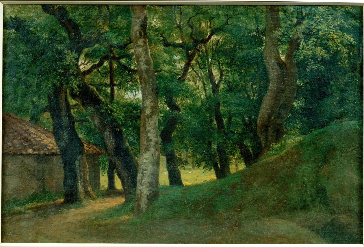 Foret de la Villa Borghese - A Villa Borghese erdeje ... alkotó: Pierre Henri de Valenciennes