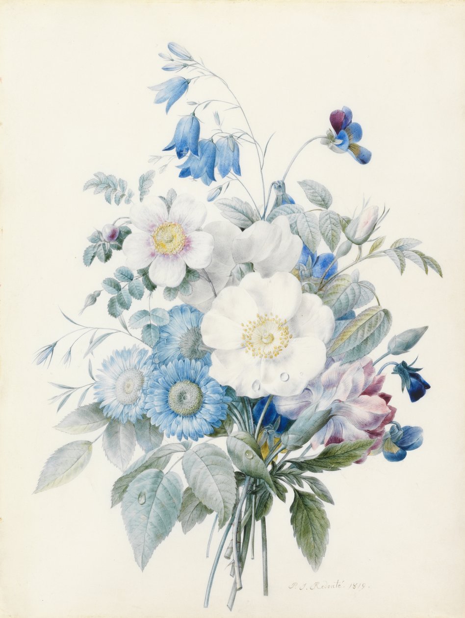 Kék asztrik, rosa spinosissima (hibrid), harangvirág, violák, szegfű és vadrózsa. alkotó: Pierre Joseph Redouté