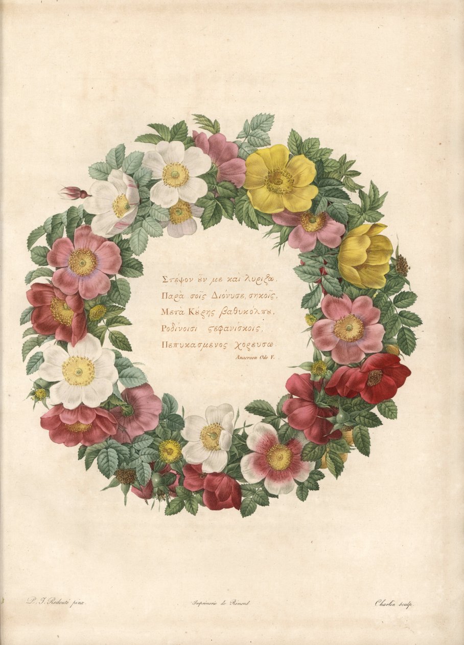 Rózsakorona görög mottóval - Eau forte, Charlin, Pierre Joseph Redoute (1759-1840) illusztrációja alapján, a Les Roses-ból alkotó: Pierre Joseph Redouté