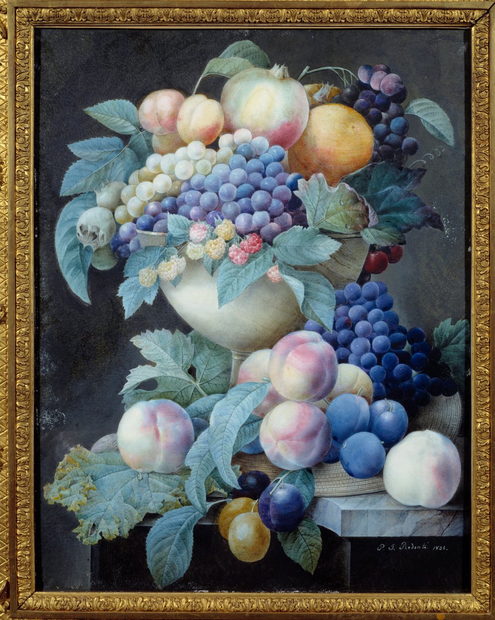 Szőlő egy csészében. Pierre Joseph Redoute (1759-1840) festménye alkotó: Pierre Joseph Redouté