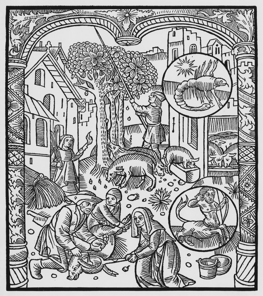 November, a disznó leölése és a makk betakarítása, Skorpió, illusztráció az „Almanach des Bergers”-ből, 1491 (xilográf) alkotó: Pierre Le Rouge