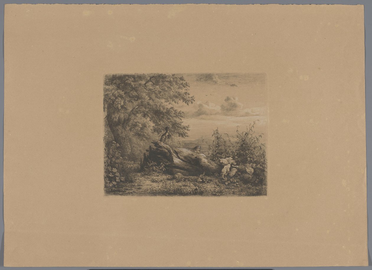 Kidőlt fa az erdő szélén Öt rézkarc-próba (sorozat címe) alkotó: Pierre Louis Dubourcq (workshop of)