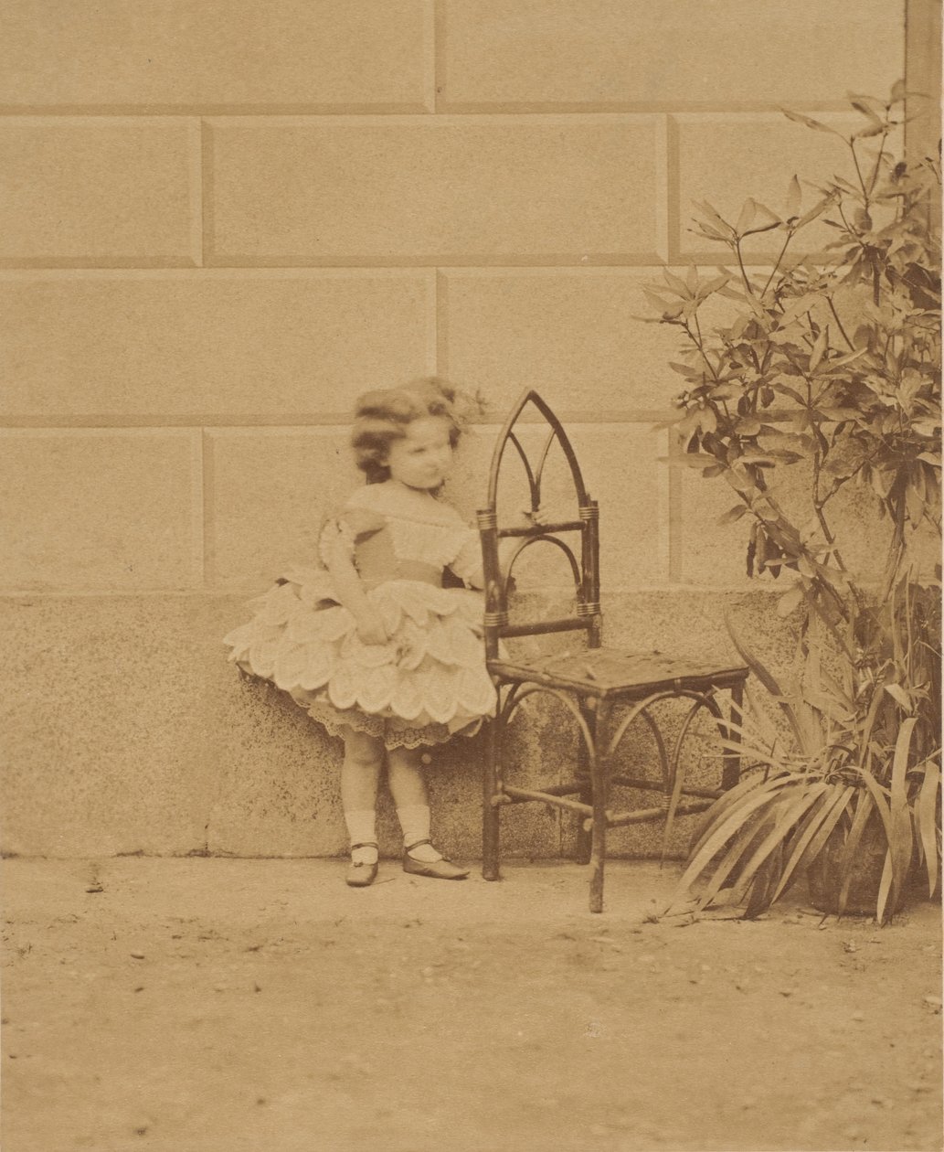 Még mindig a rusztikus szék, 1860-as évek. alkotó: Pierre Louis Pierson