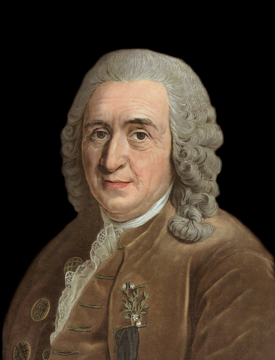 Charles Linne (Carl von Linne, Linneus 1707 - 1778), svéd természettudós portréja - Pierre Michel Alix metsze (1762-1817) alkotó: Pierre Michel Alix
