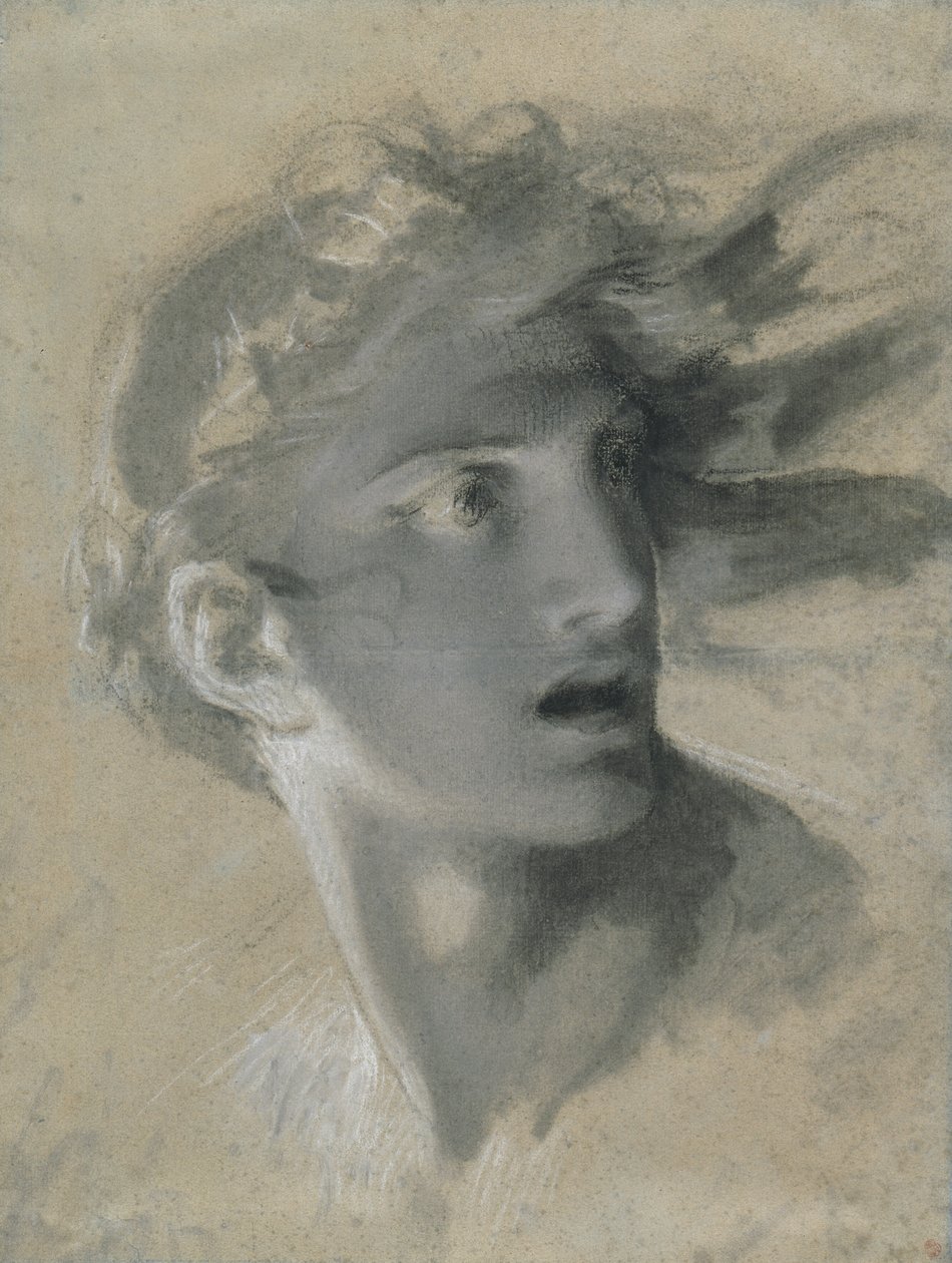 A bosszúállás feje alkotó: Pierre Paul Prud