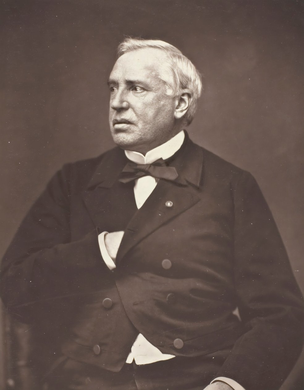 Nelaton, c. 1876. alkotó: Pierre Petit
