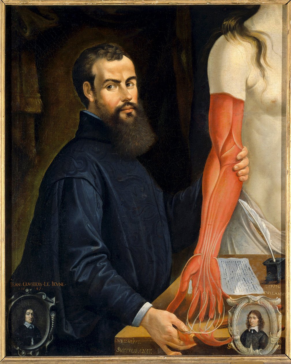 Andre Vesale (Andrea Vesalius vagy Andries Van Wesel), V. Károly anatómusa és orvosa (1514-1564) portréja”” Pierre Poncet (1574-1640) festménye V. 0,96 x 0,77 m Orleans musee des Beaux Arts – Andrea Vasalius (vagy Andries Van Wesel) portréja (157 alkotó: Pierre Poncet