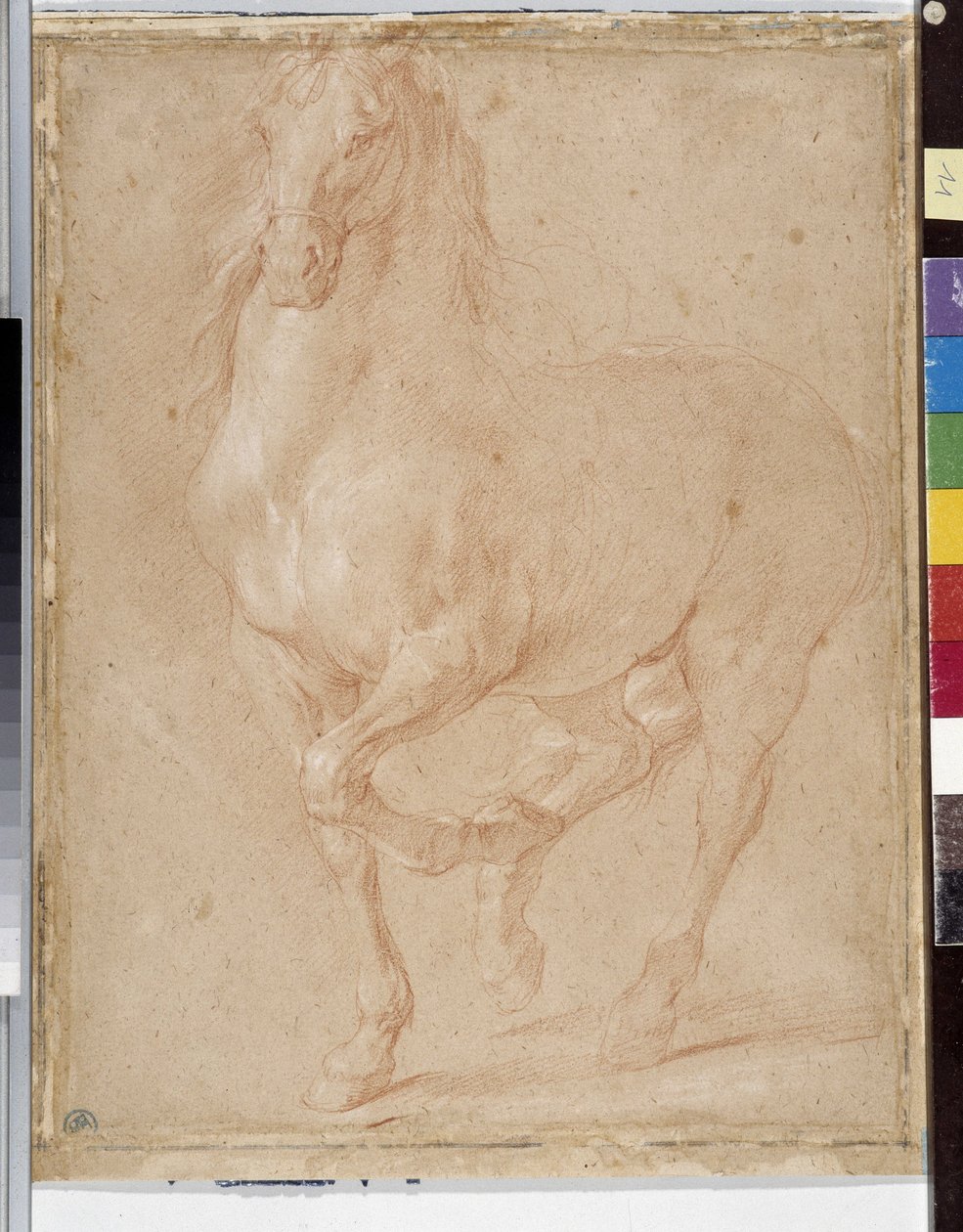 Lótanulás (sangvinikus) alkotó: Pierre Puget