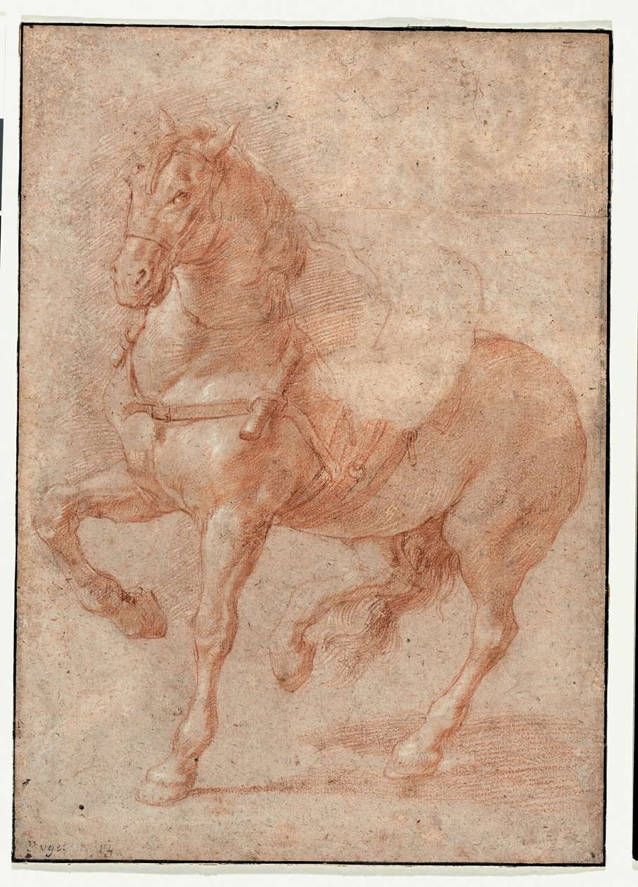 Bucephalus tanulmánya az "Alexander és Diogenész" reliefhez alkotó: Pierre Puget
