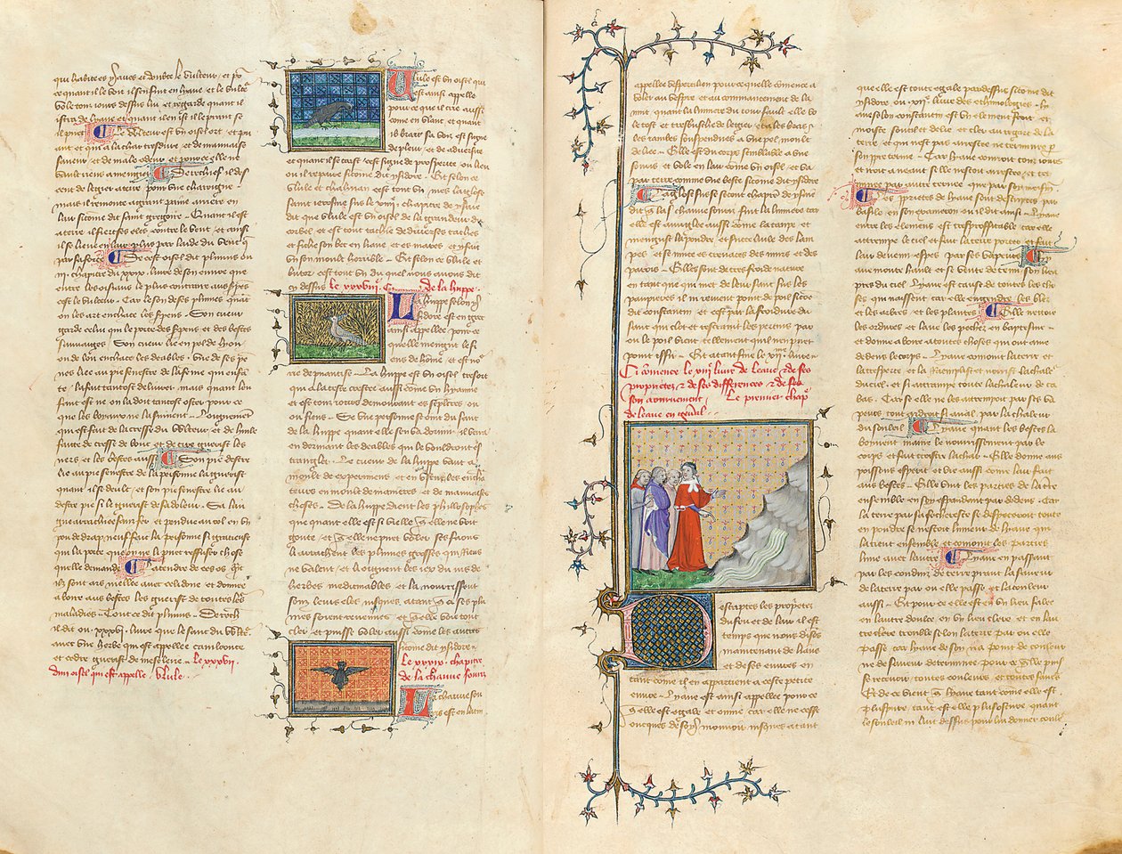 Oldal az angol Bartholomew "The Properties of Things"-ből, Jean Corbechon francia fordításában, 1390 körül alkotó: Pierre Remiet