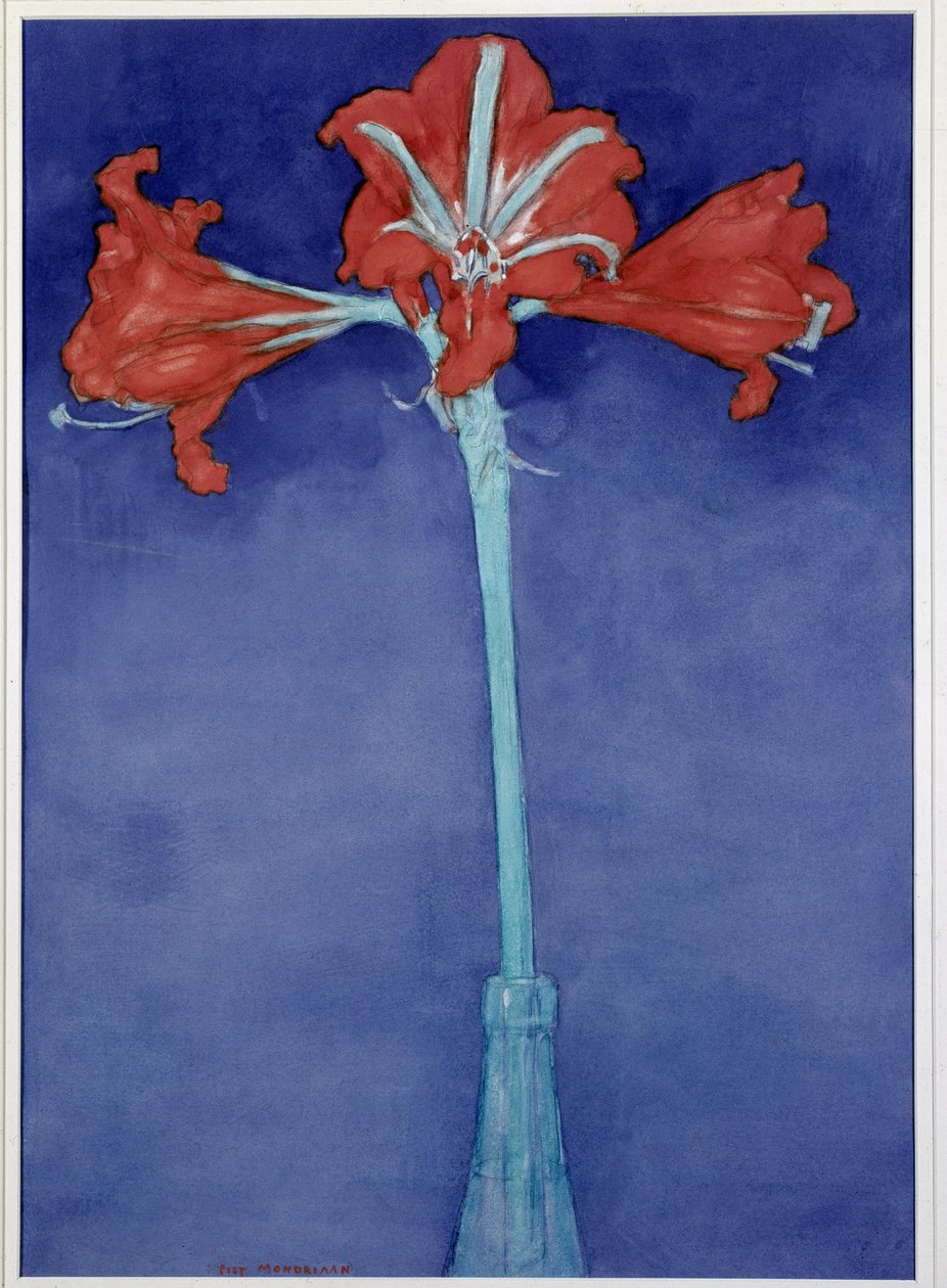 Amarillisz alkotó: Piet Mondrian