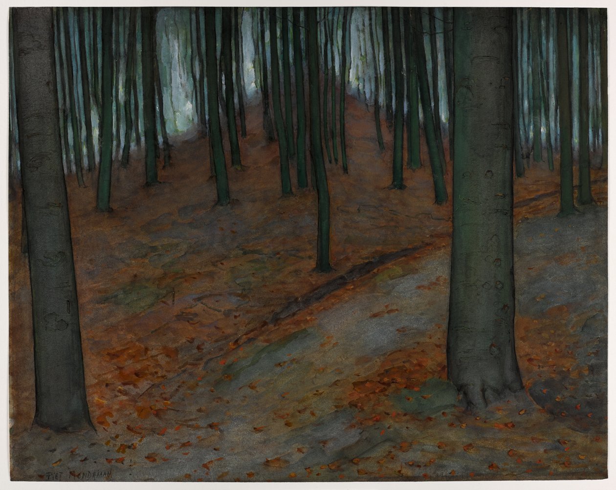 Fa bükkfákkal, 1899 körül (wc és gouache papíron) alkotó: Piet Mondrian