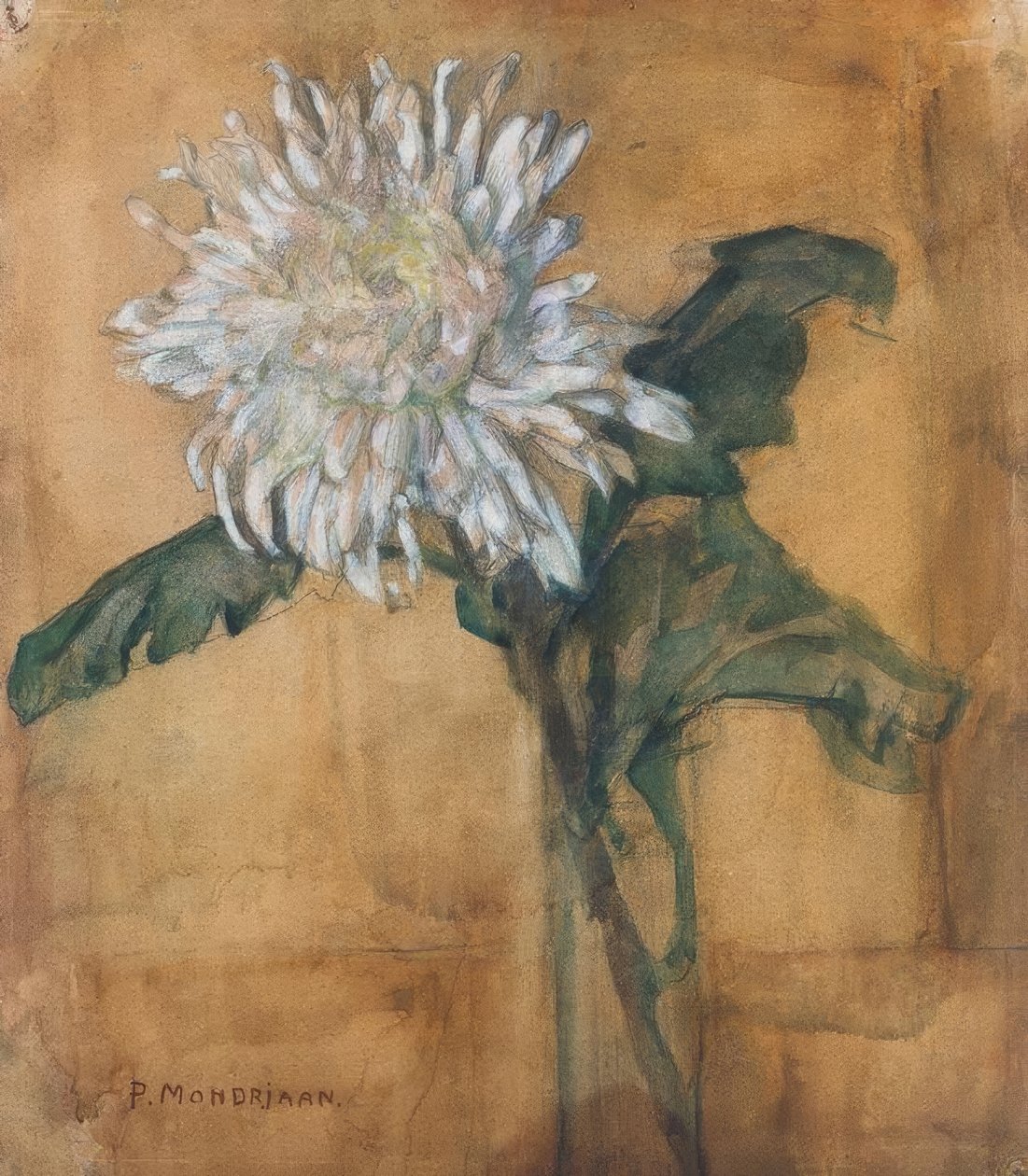 Krizantém alkotó: Piet Mondrian