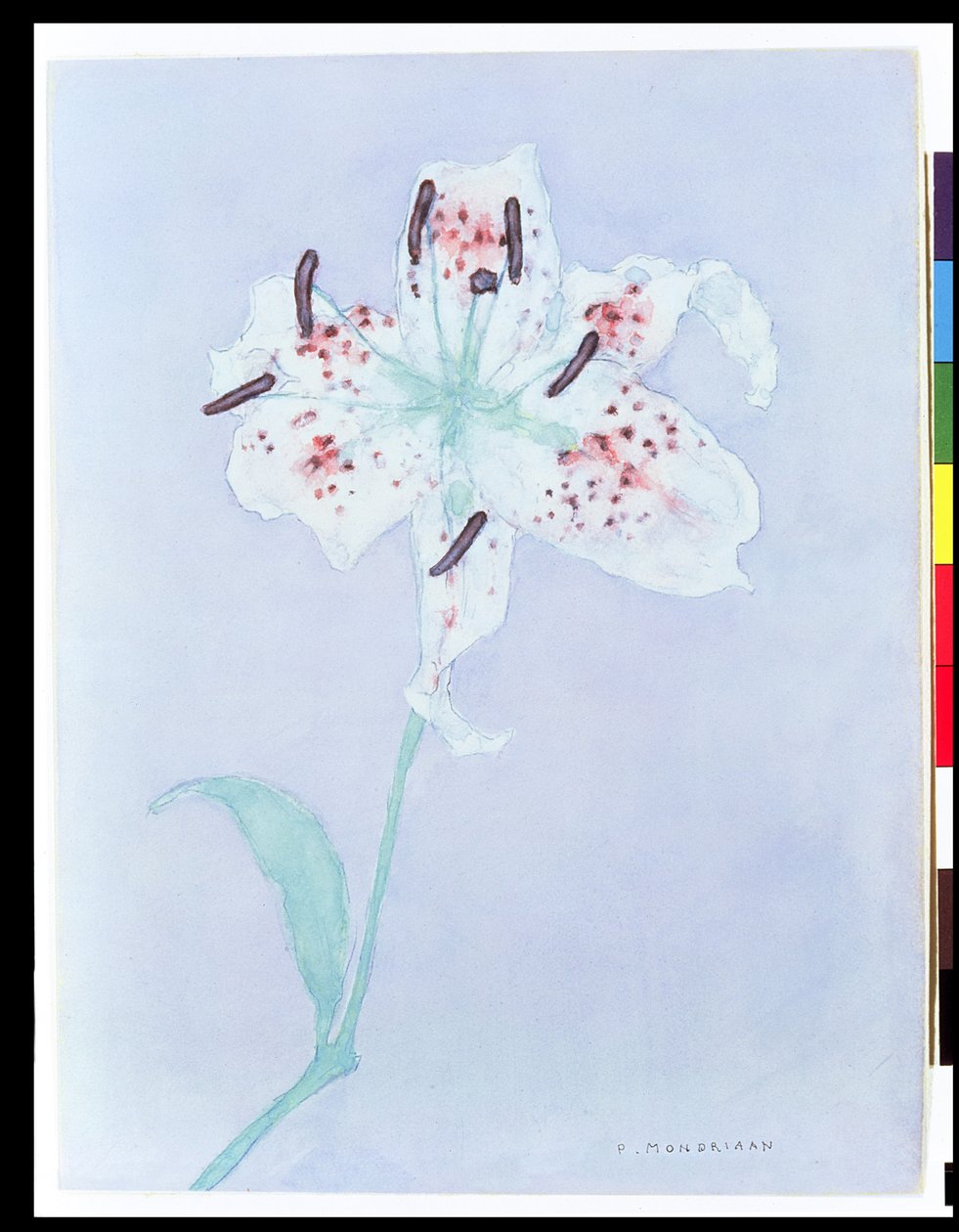 Liliom, 1921 után (akvarell és ceruza) alkotó: Piet Mondrian