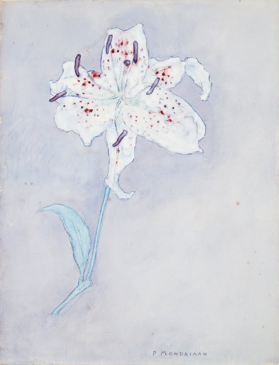 Liliom, 1920-25 körül (akvarell, papír) alkotó: Piet Mondrian