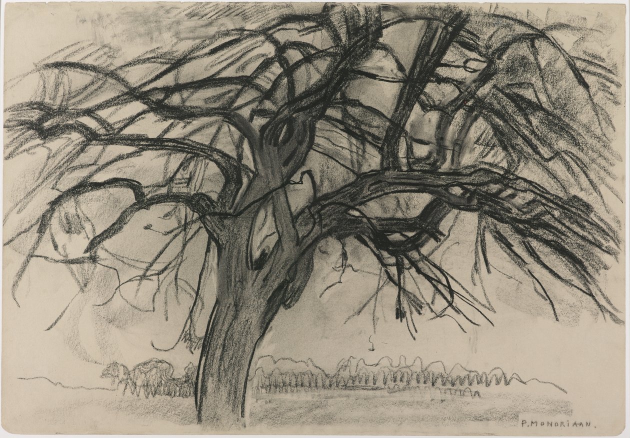 Előzetes tanulmány estére: A vörös fa, 1908 (fekete zsírkréta és faszén papíron) alkotó: Piet Mondrian