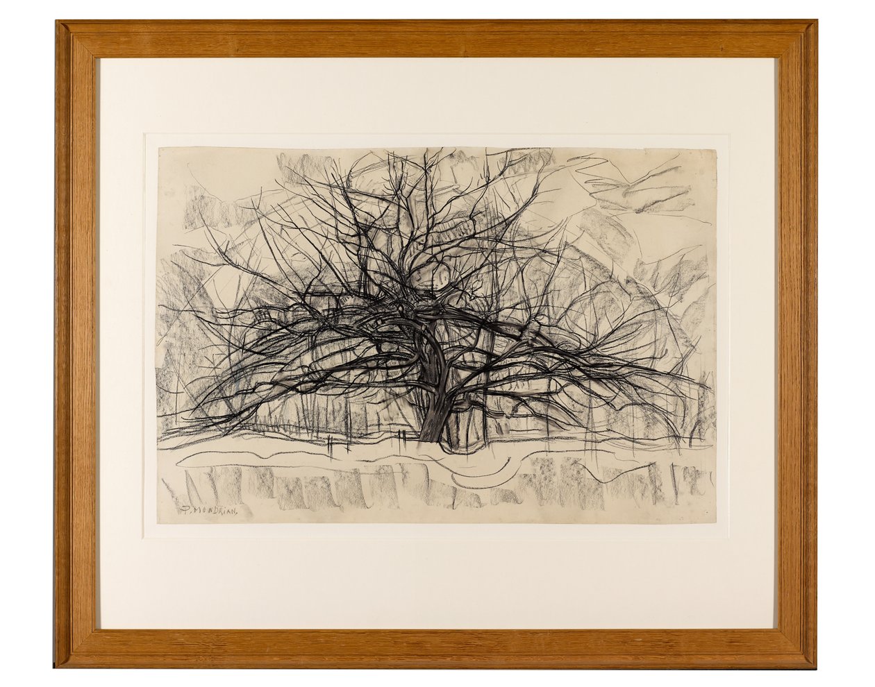 Tanulmány a szürke fához, 1911 (fekete zsírkréta papíron) alkotó: Piet Mondrian