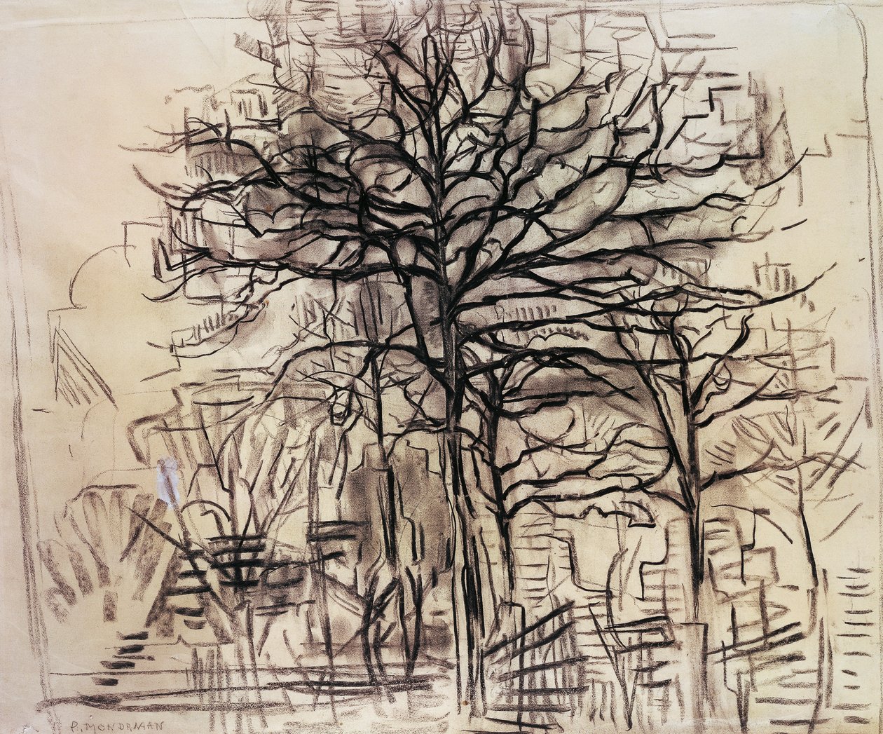 Fák tanulmányozása, Piet Mondrian (1872-1944), szén- és fehér ólomrajz. Hollandia, XX. század. alkotó: Piet Mondrian