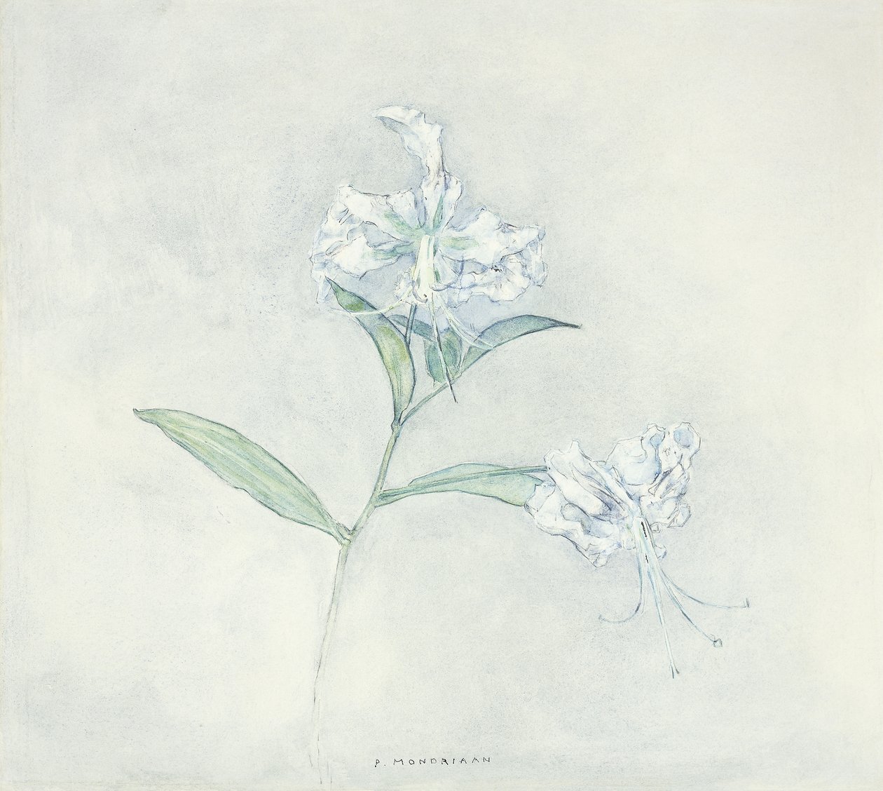 Két japán liliom; Két japán liliom alkotó: Piet Mondrian