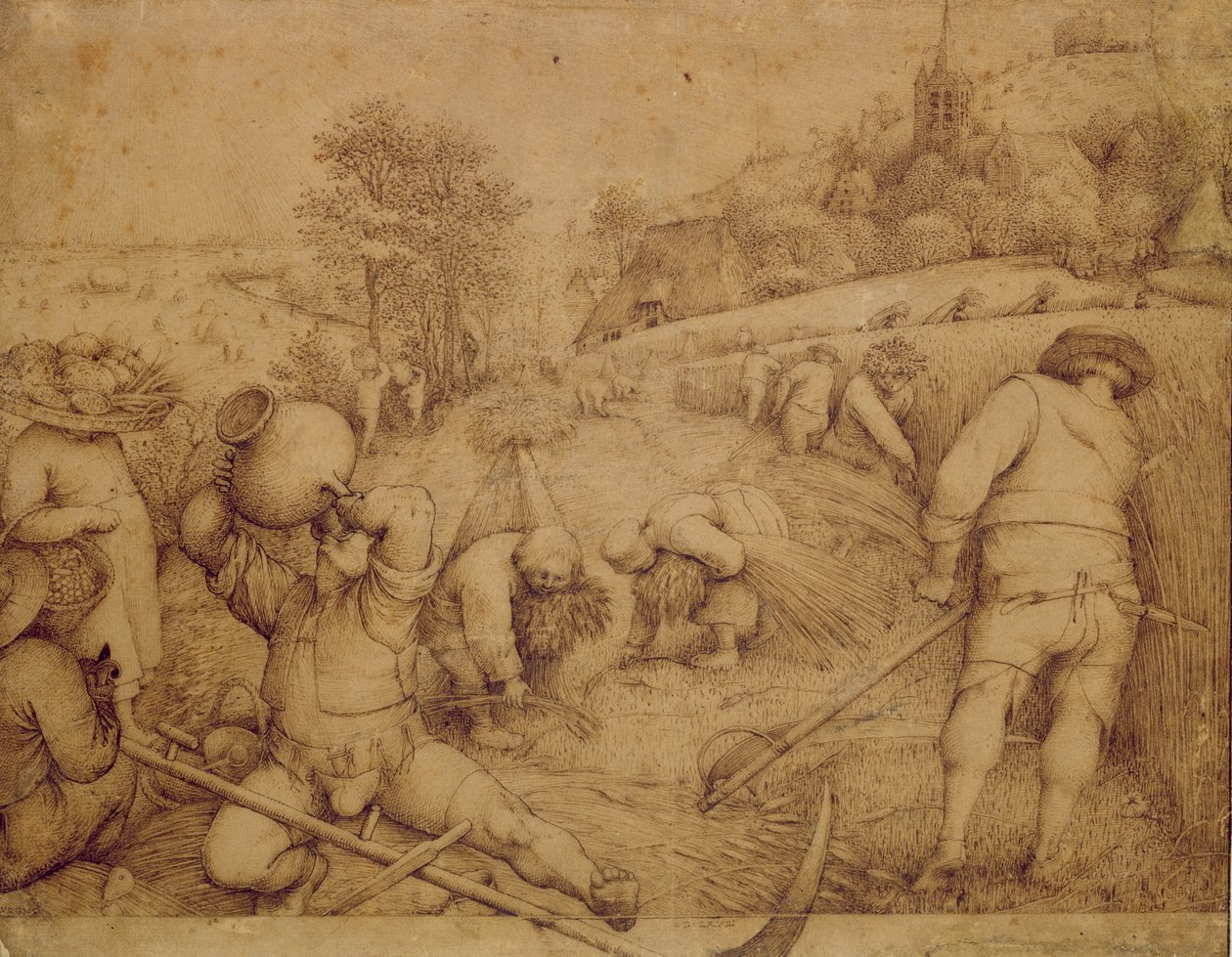 Nyár, 1568 (toll és tinta papíron) alkotó: Pieter Bruegel the Elder