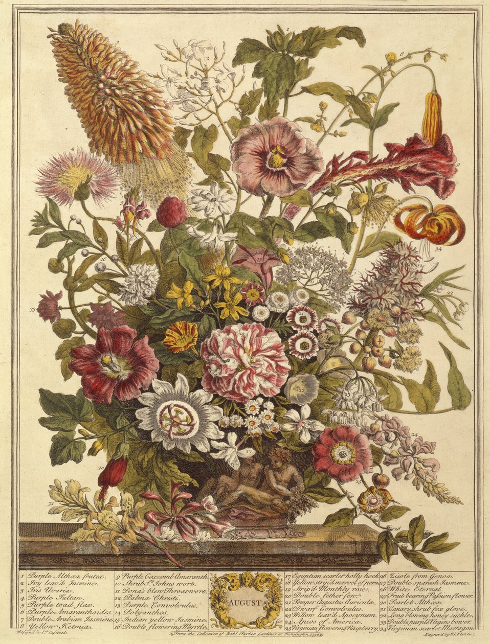 Augusztus, a Tizenkét hónap virágaiból, Robert Furbertől (1674-1756 körül) Henry Fletcher metszetével (színes metszet) alkotó: Pieter after Casteels