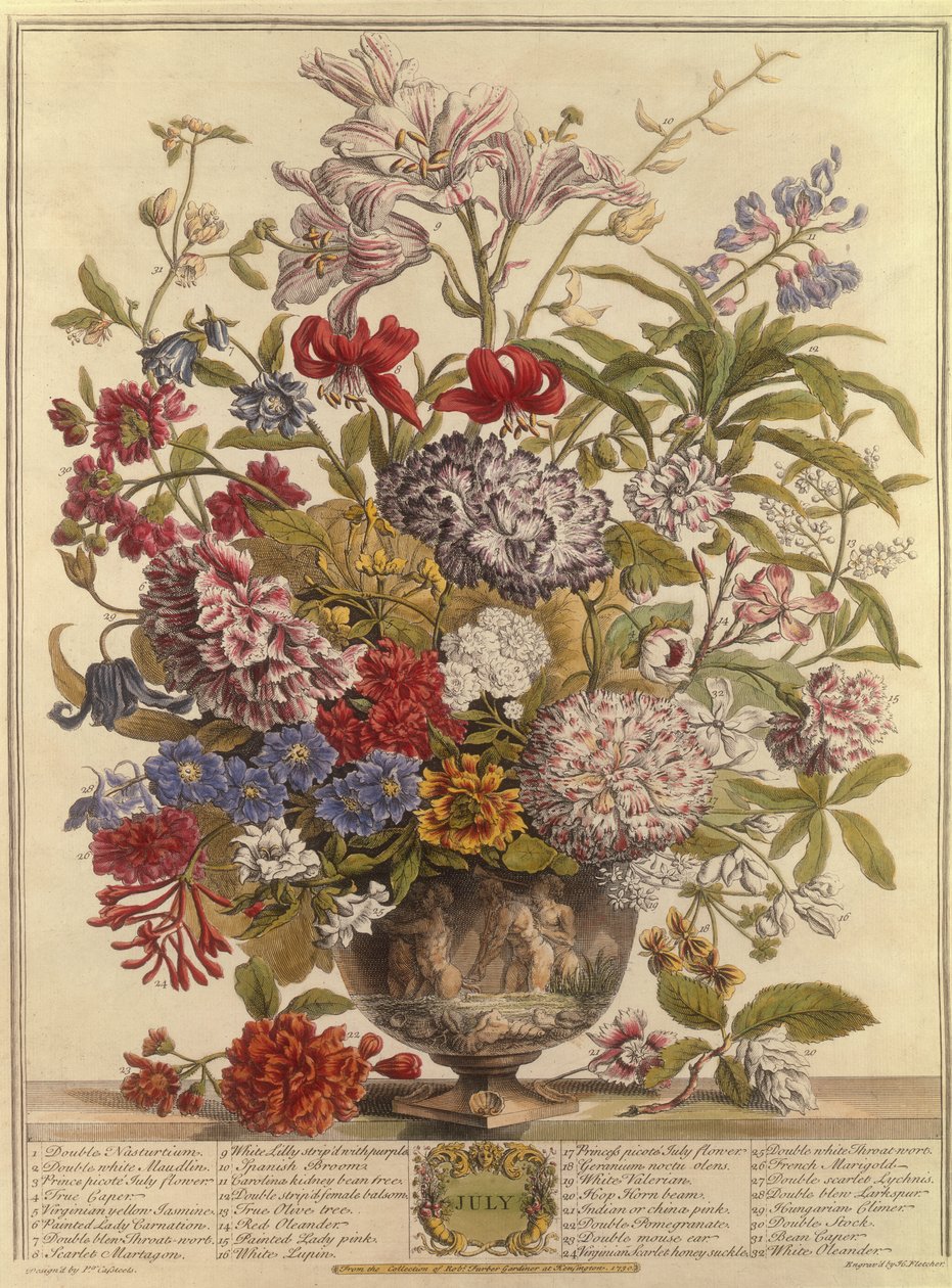Július, Robert Furber (1674-1756 körül) Tizenkét hónap virágból, Henry Fletcher metszetéből (színes metszet) alkotó: Pieter after Casteels