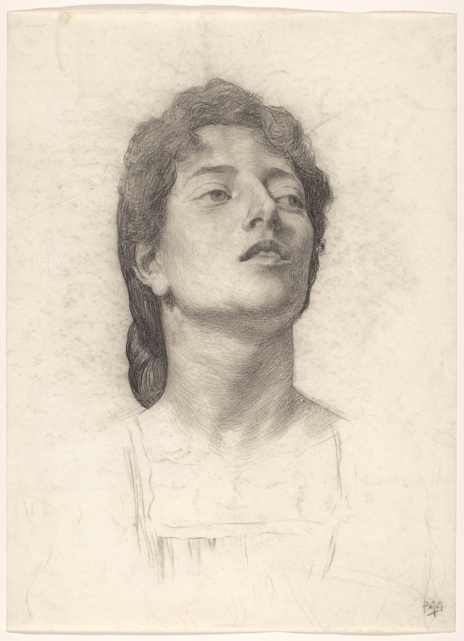 Egy nő portréja alkotó: Pieter de Josselin