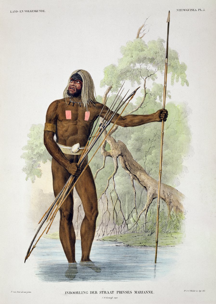 A Marianna-szoros hercegnő szülötte, a Verhandelingen over de Natuurlijke Geschiedenis der Nederlandsche overzeesche Bezittingen, I. kötet, írta Coenraad Jacob Temminck, metszette Salomon Muller, pu alkotó: Pieter van Oort