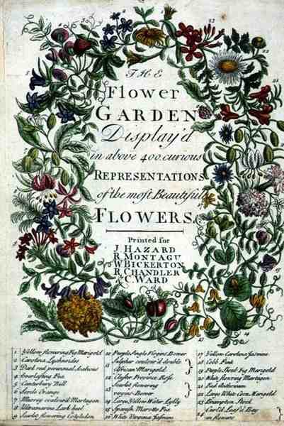 Robert Furber (kb. 1674-1756) "The Flower Garden Displayed" homlokzata, James Smith metszete, pub. 1732 (színes metszet) alkotó: Pieter (after) Casteels