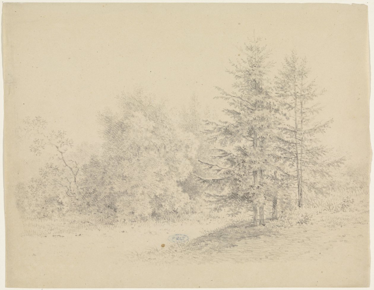 Erdőre néző fenyőfákkal alkotó: Pieter Bartholomeusz. Barbiers