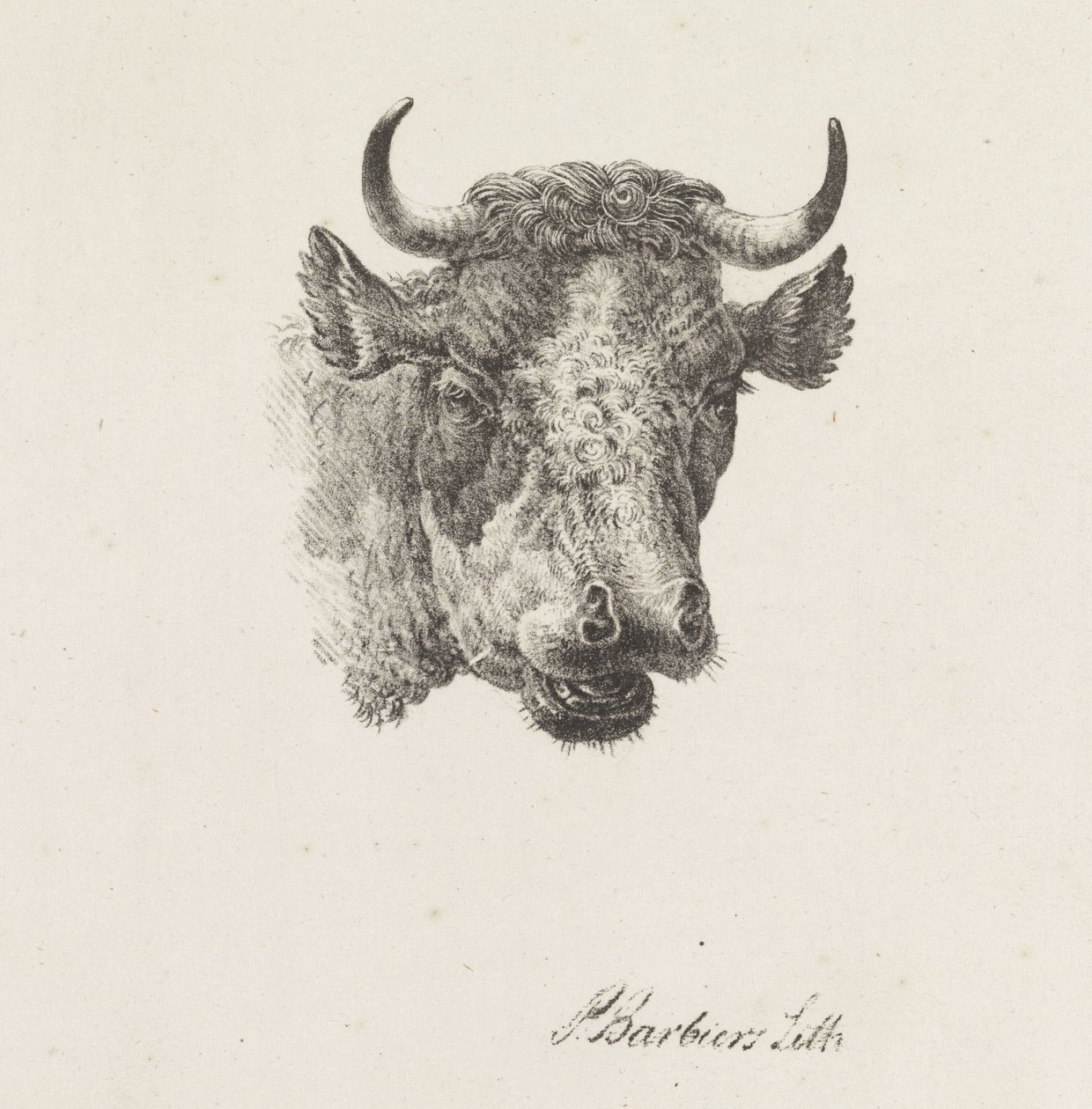 Bikafej alkotó: Pieter Bartholomeusz. Barbiers