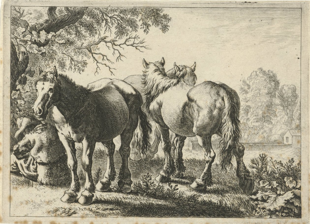 Három ló és egy gazda Különböző állatok (sorozat címe) alkotó: Pieter Bodding van Laer