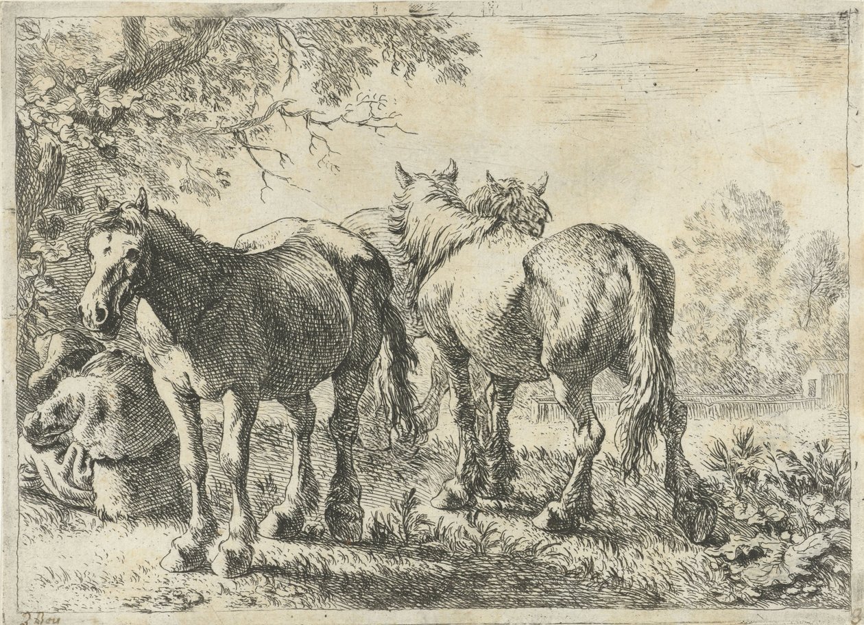 Három ló és egy gazda Különböző állatok (sorozat címe) alkotó: Pieter Bodding van Laer