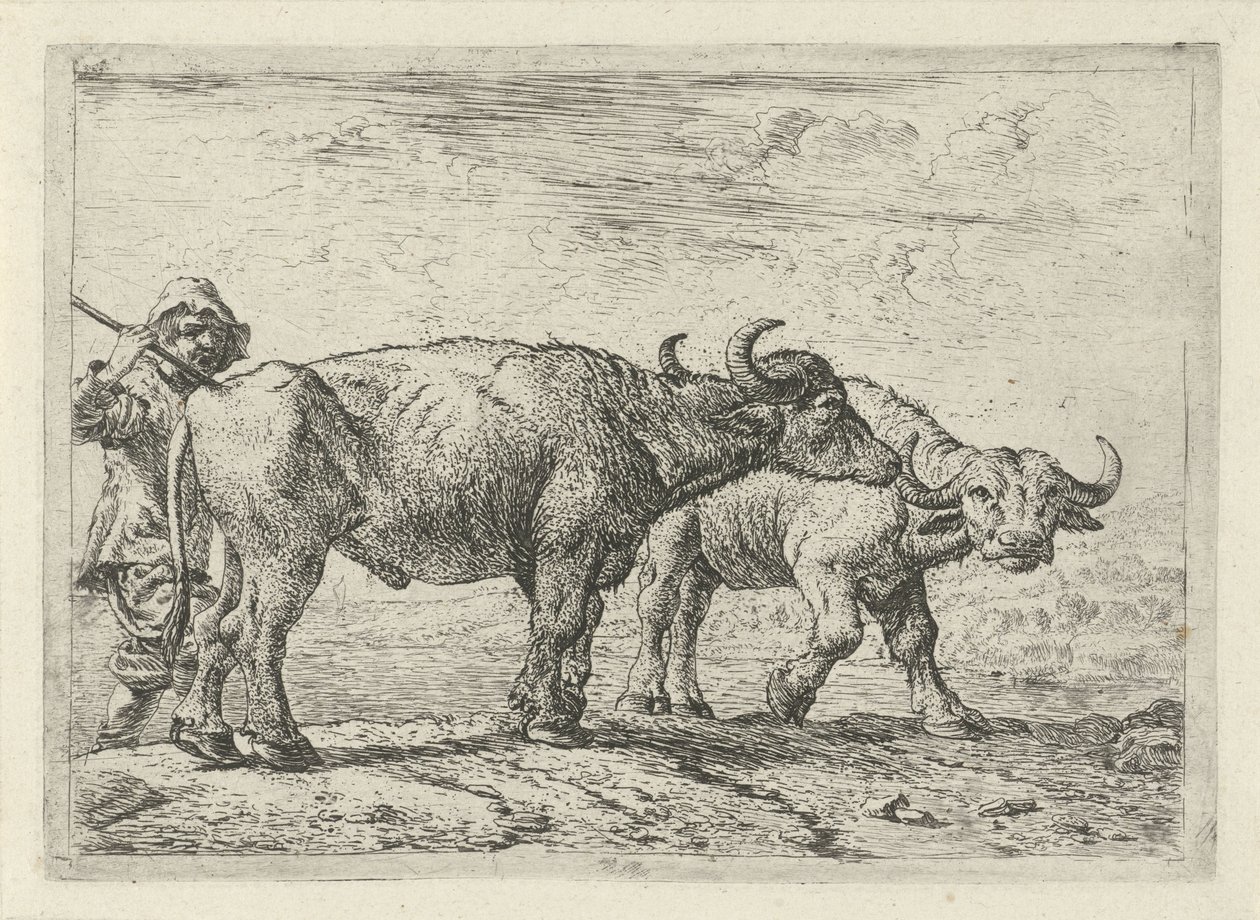 Két bivaly és egy juhász Különböző állatok (sorozat címe) alkotó: Pieter Bodding van Laer
