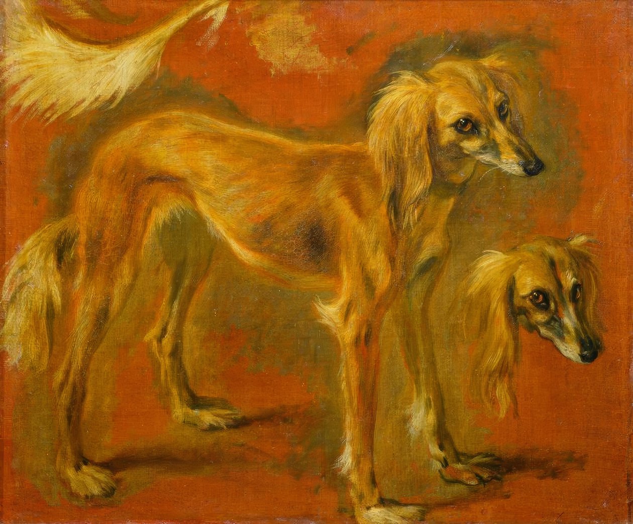 Két tanulmány egy agárról alkotó: Pieter or Peter Boel