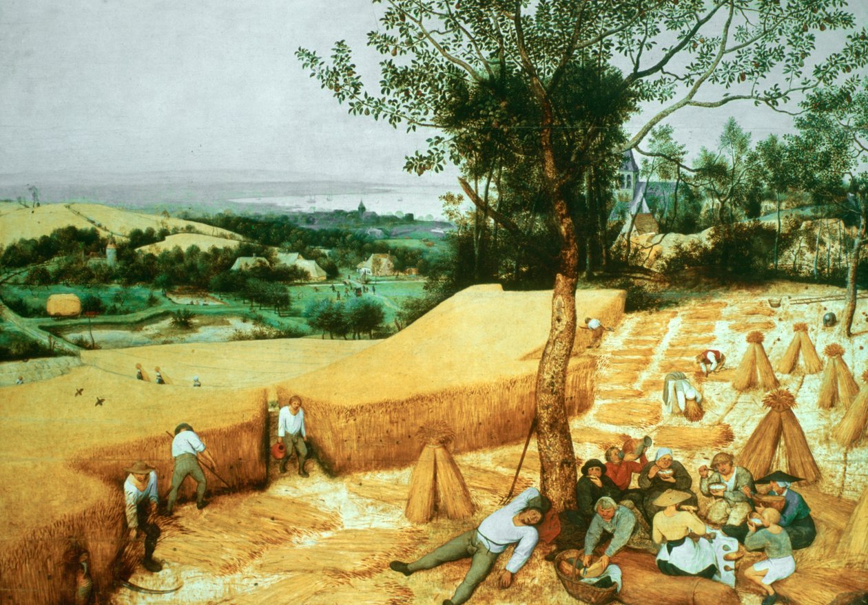Aratógépek, 1565 alkotó: Pieter Bruegel the Elder
