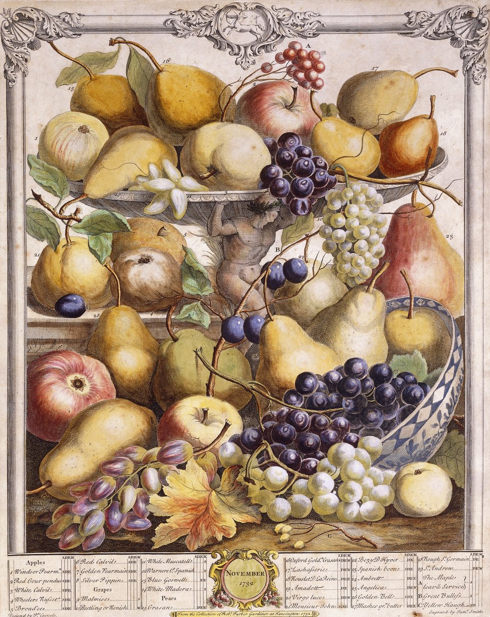 1732. november, szezonális alma, körte, szőlő stb., 1732 alkotó: Pieter Casteels