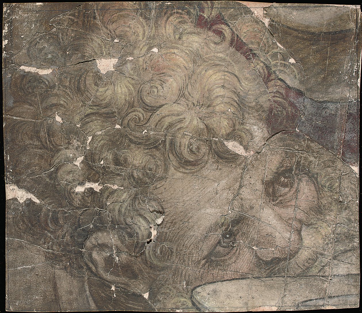 Egy szakállas férfi feje felfelé néz alkotó: Pieter Coecke van Aelst