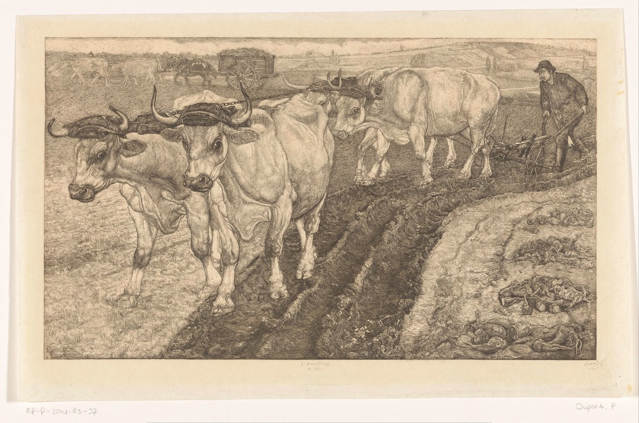 Les Boeufs (eredeti cím a tárgyon) L