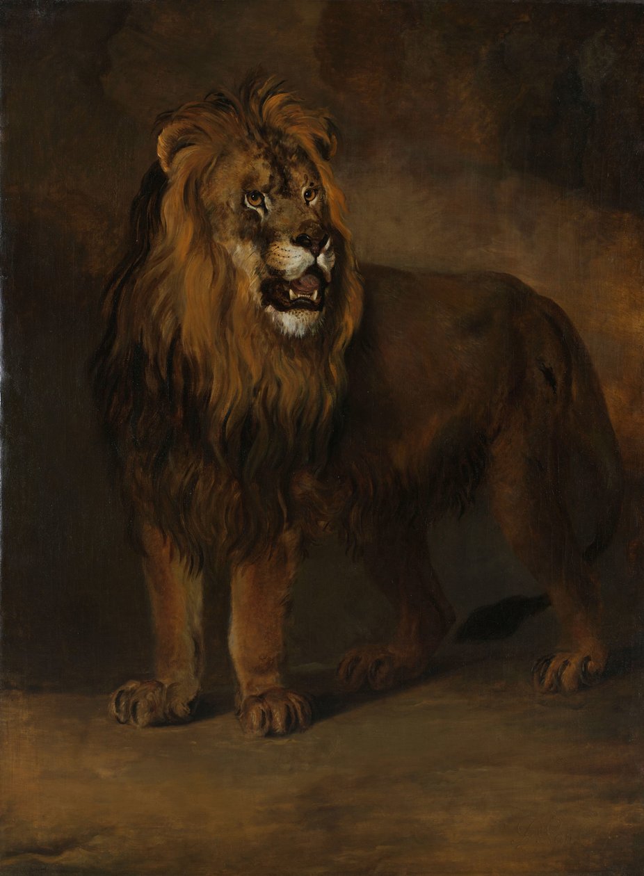 Egy oroszlán Lajos Napóleon király menazsériájából, 1808 alkotó: Pieter Gerardus van Os