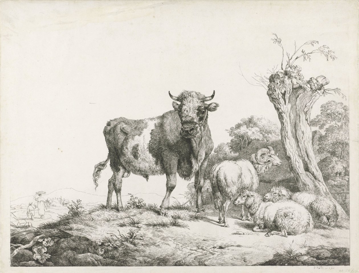 Egy bika, egy kos és két birka feküdt egy szárfűz mellett alkotó: Pieter Gerardus van Os