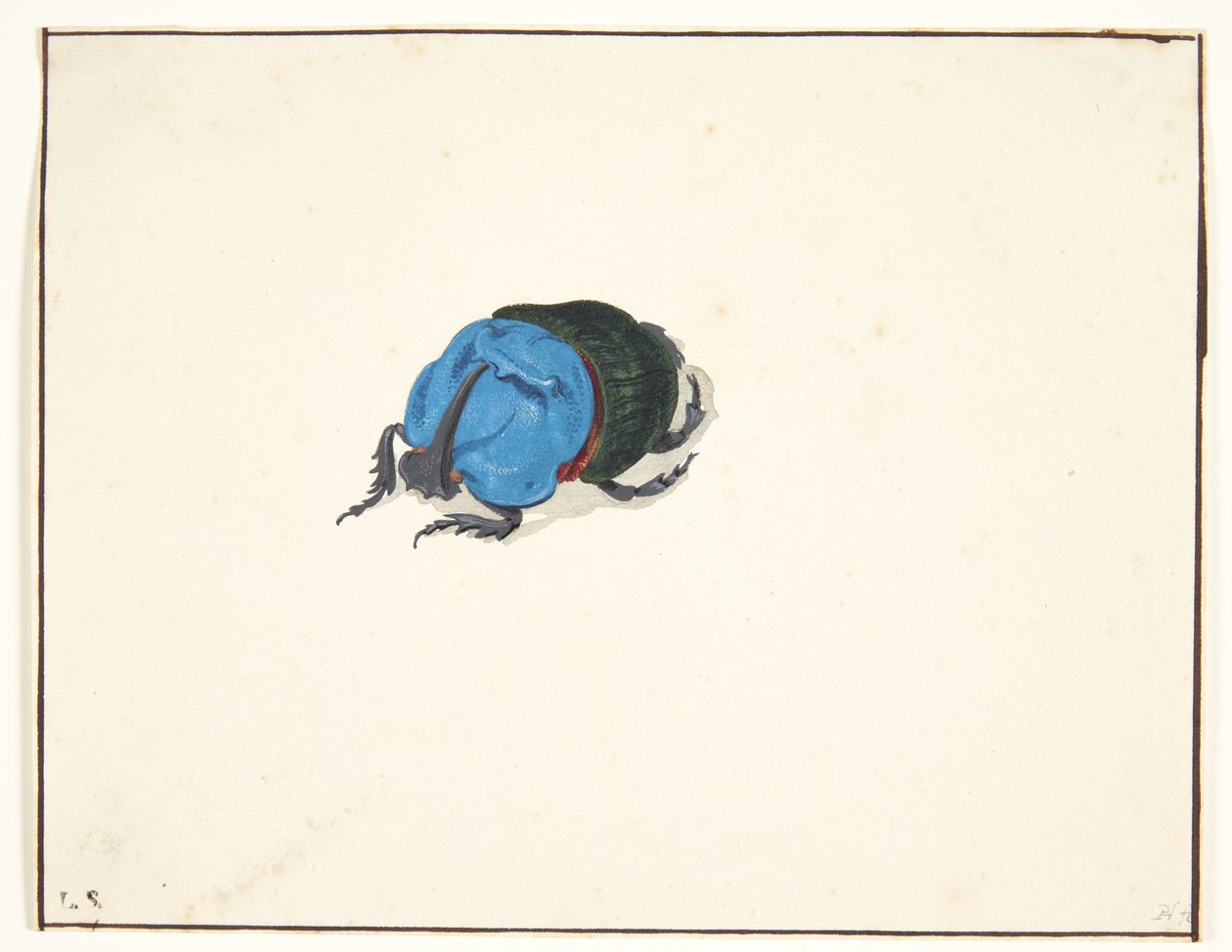 Orrszarvú bogár (scarabaeidae) alkotó: Pieter Holsteijn
