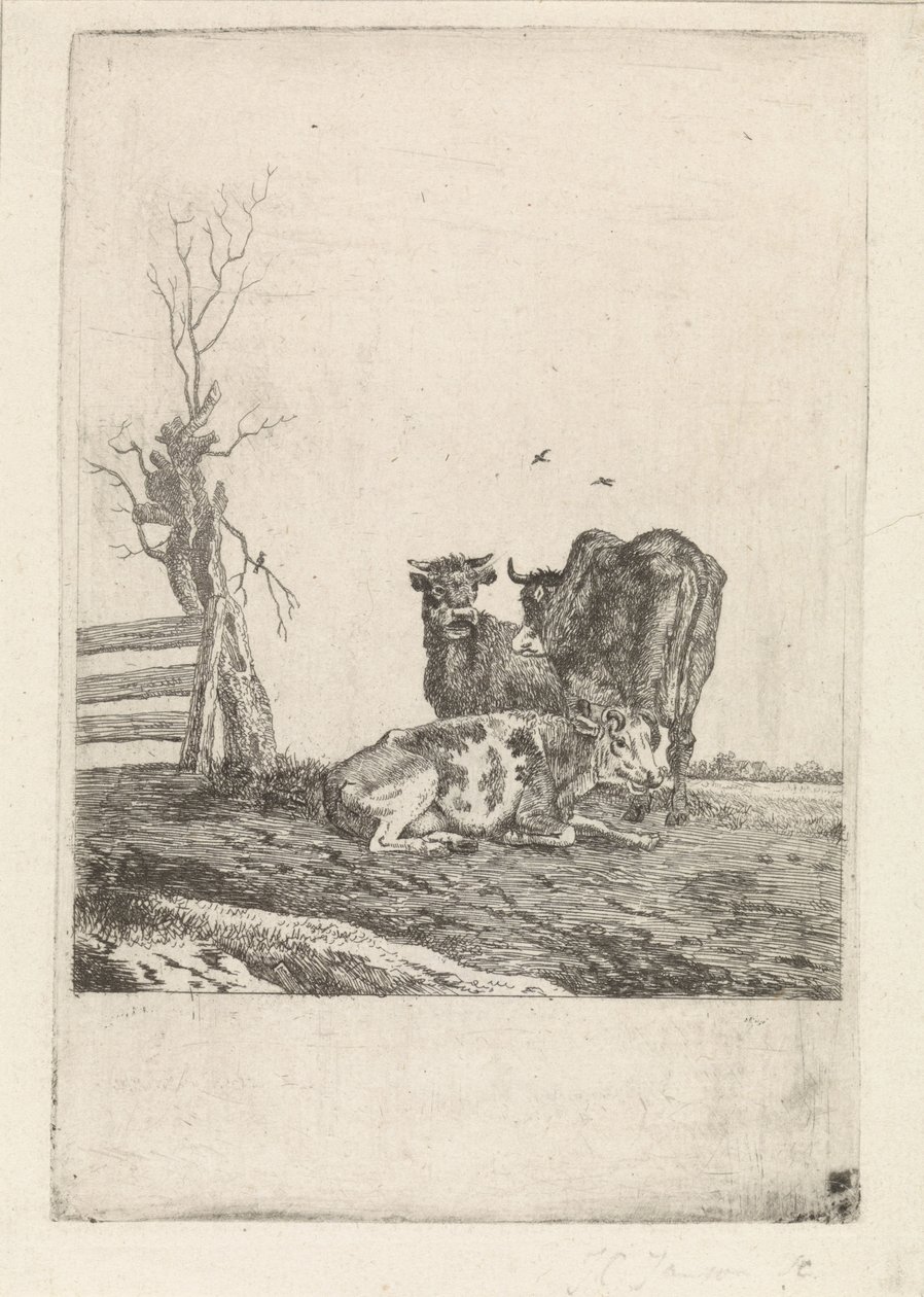 Táj három tehénnel alkotó: Pieter Janson