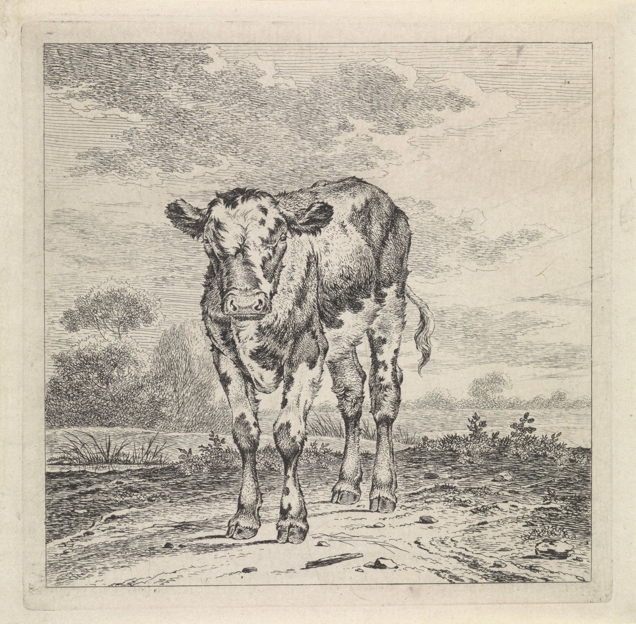 Táj borjúval alkotó: Pieter Janson