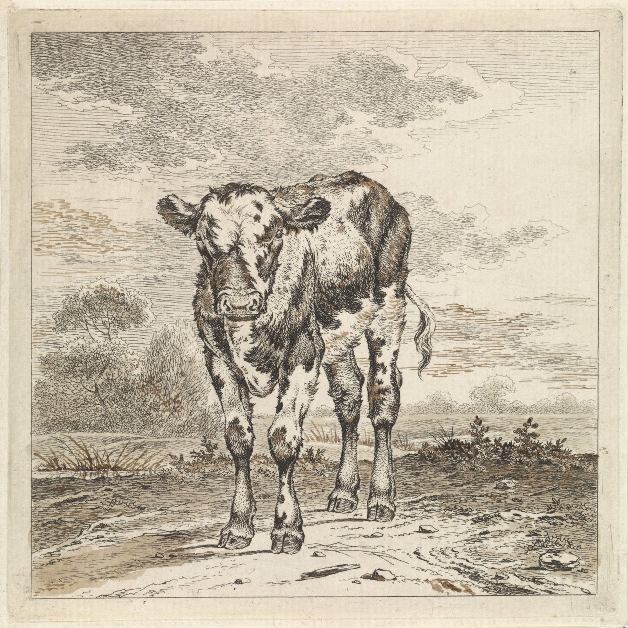 Táj borjúval alkotó: Pieter Janson